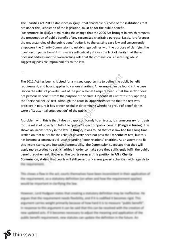 essay about charity work