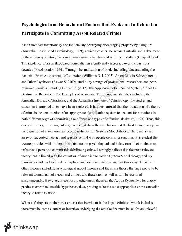 criminology reflection essay