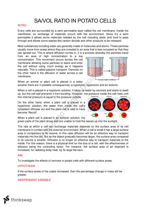 Surface Area To Volume Ratio Practical Biology Year 12 HSC Thinkswap