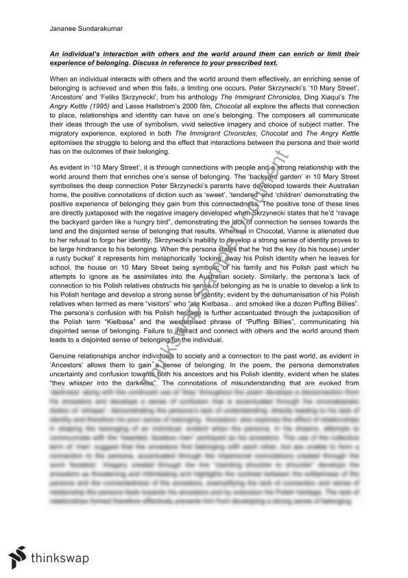 Critical analysis of argumentative essay