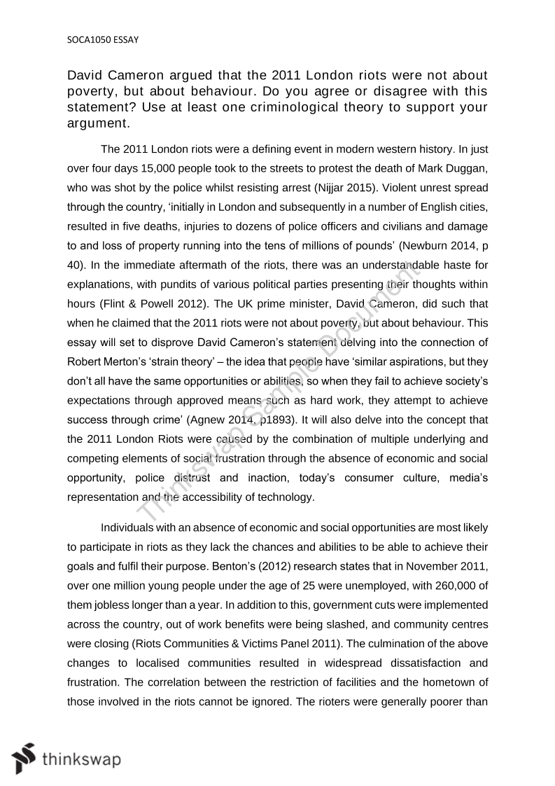 essay on youth and crime