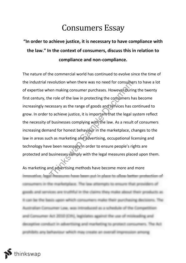 essay on business to consumer