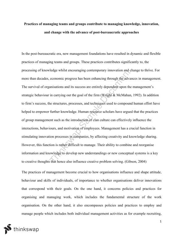 individual reflective essay on group work