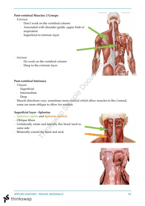 Applied Anatomy Summary Weeks 1 - 4 | HUMB1005 - Applied Anatomy ...