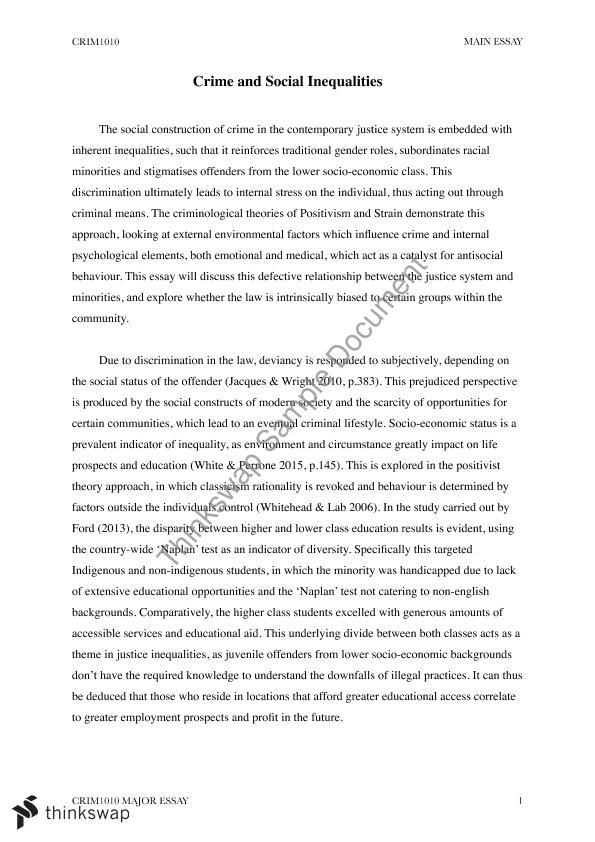 effects of social inequality essay