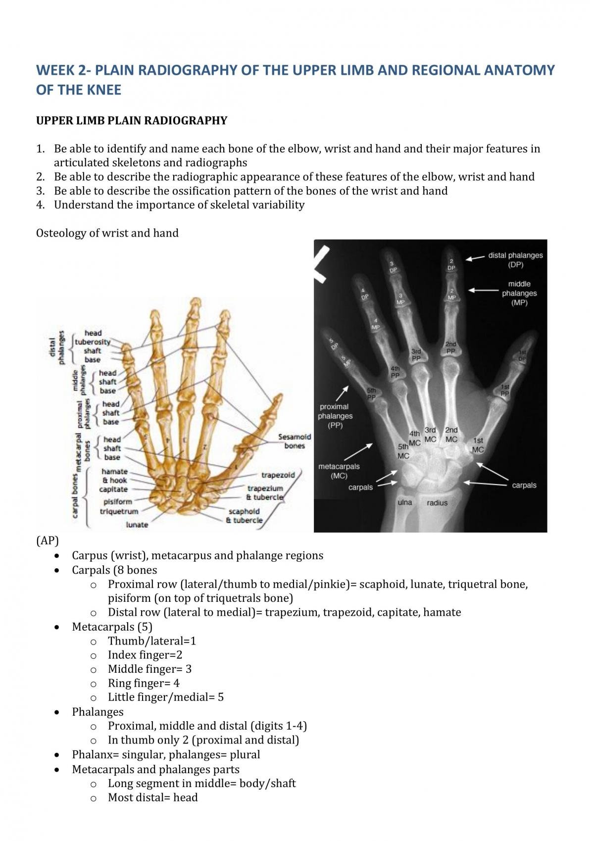 Week 2 Summary Notes - Plain Radiography of the upper limb and regional anatomy of the knee - Page 1