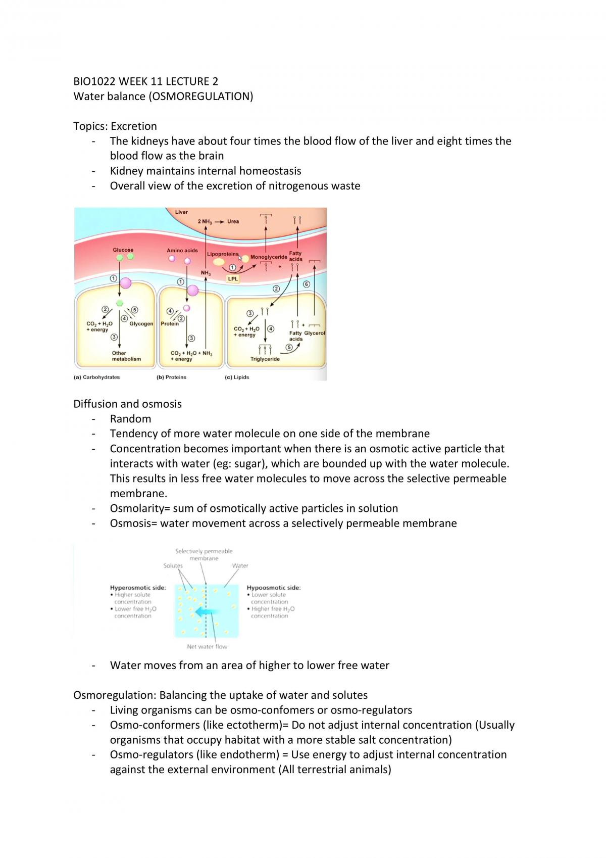 BIO1022 Osmoregulation - Page 1