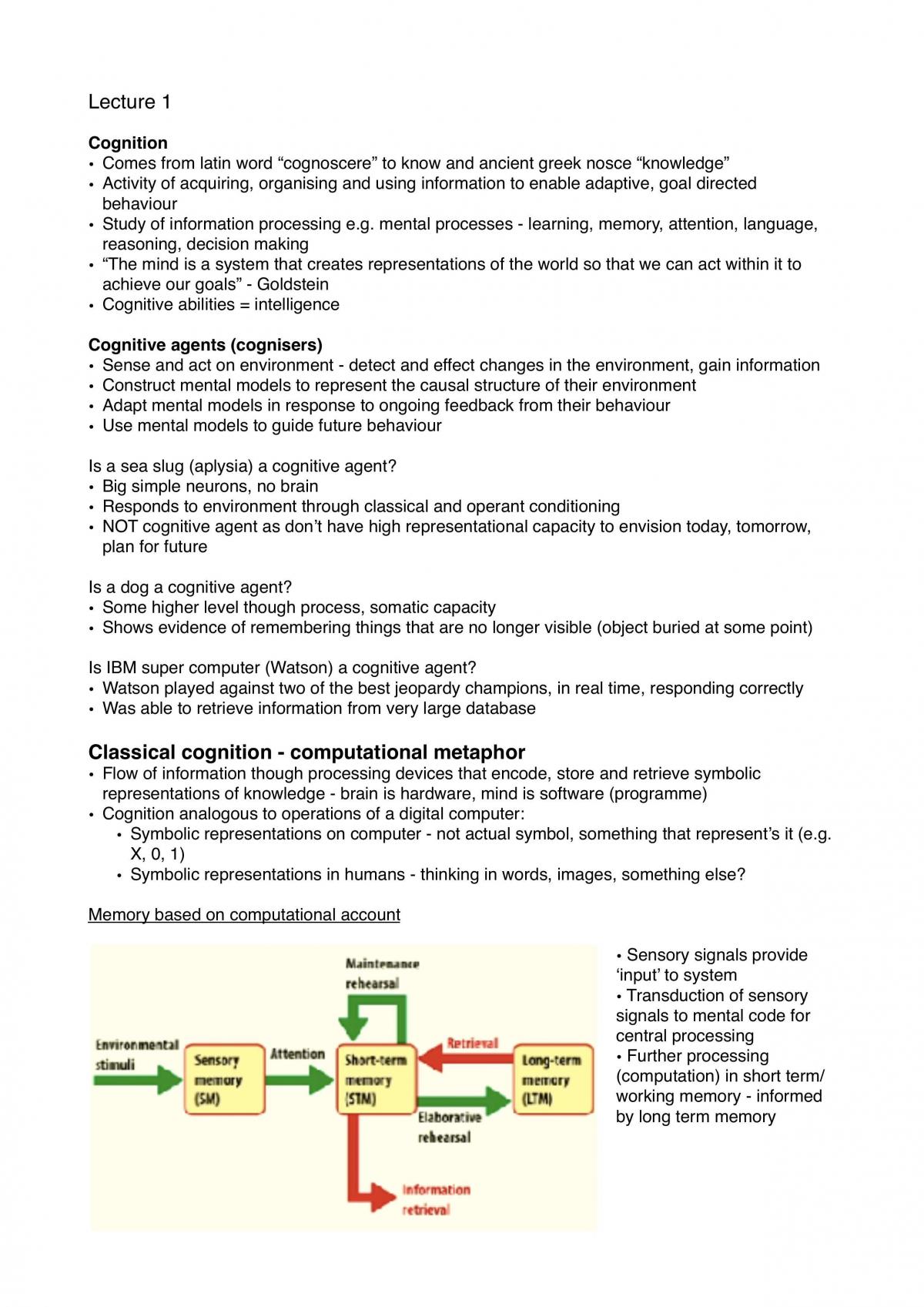 Cognitive Psychology Notes - Page 1