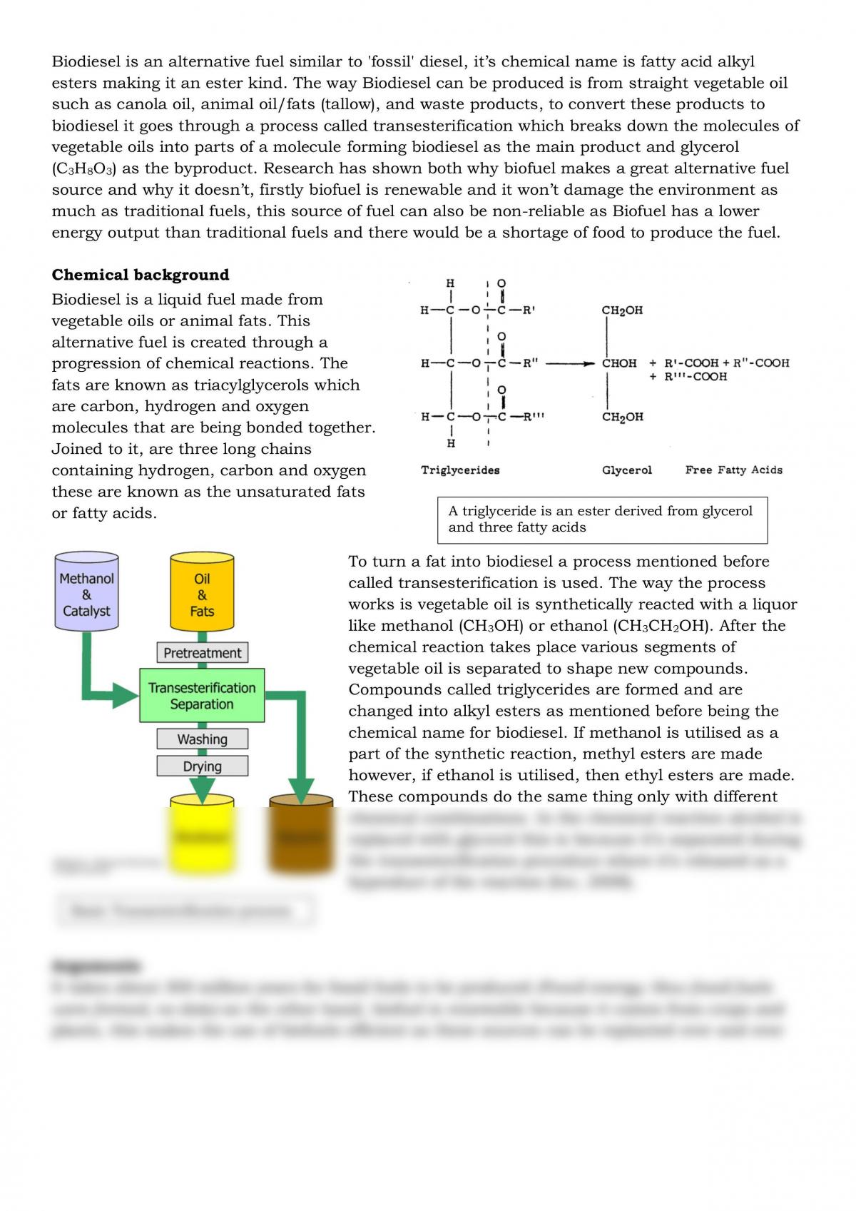 Issue studies: Biodiesal - Page 1