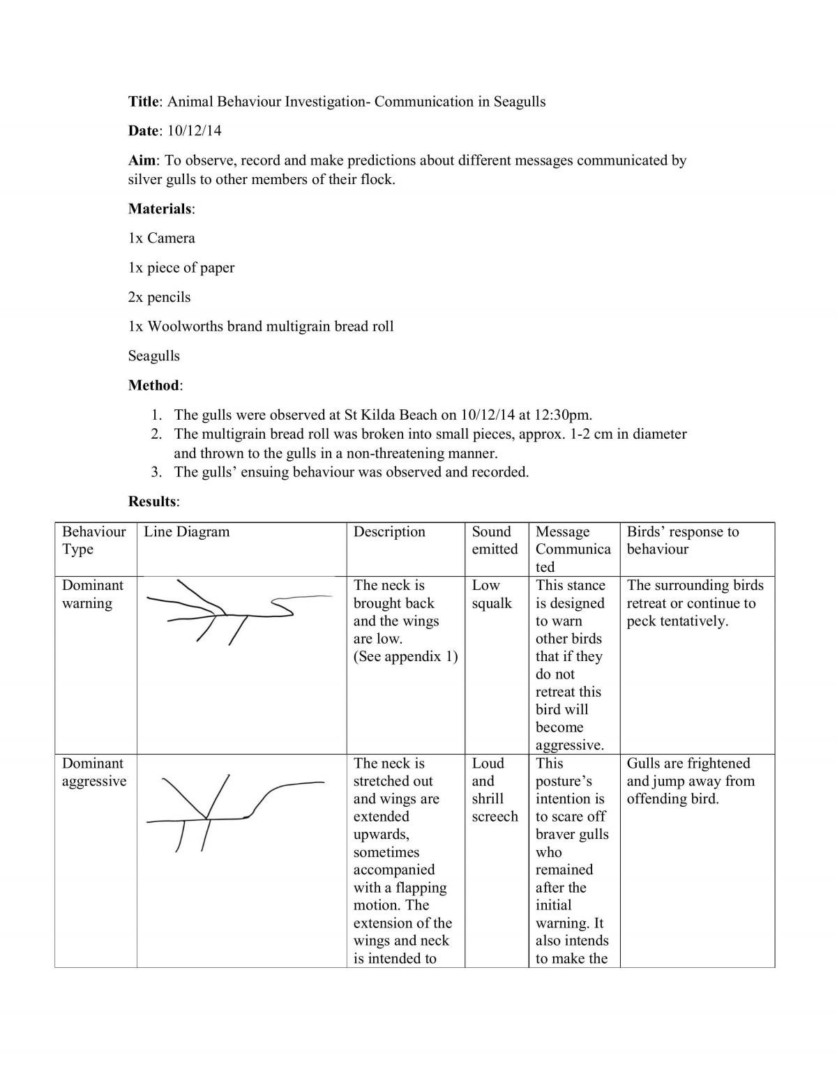 Behavioural Investigation of Seagulls - Page 1