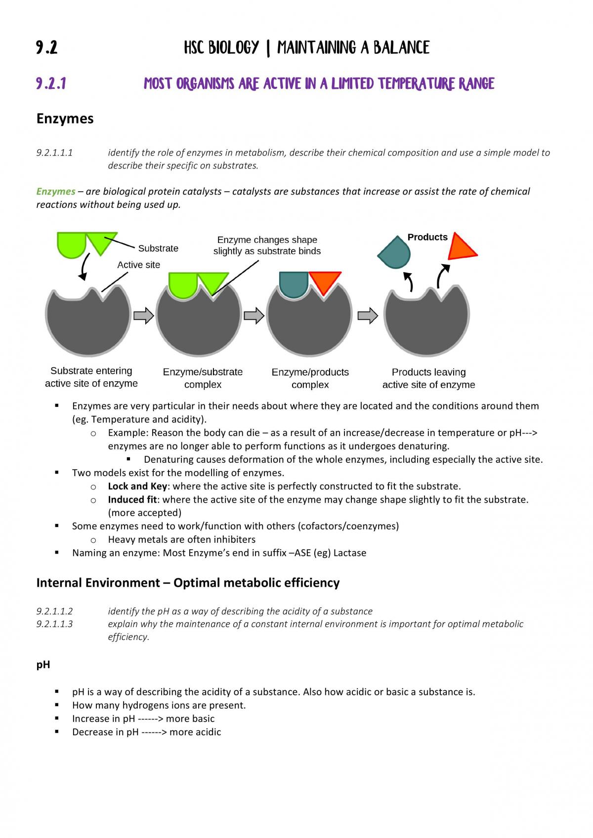 Biology 9.2 Maintaining A Balance Study Notes - Page 1