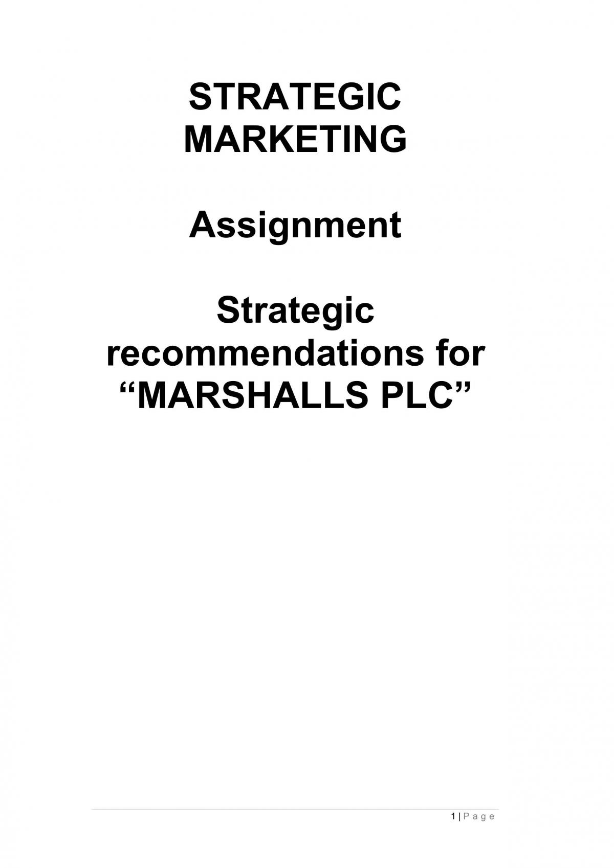 strategic marketing project report