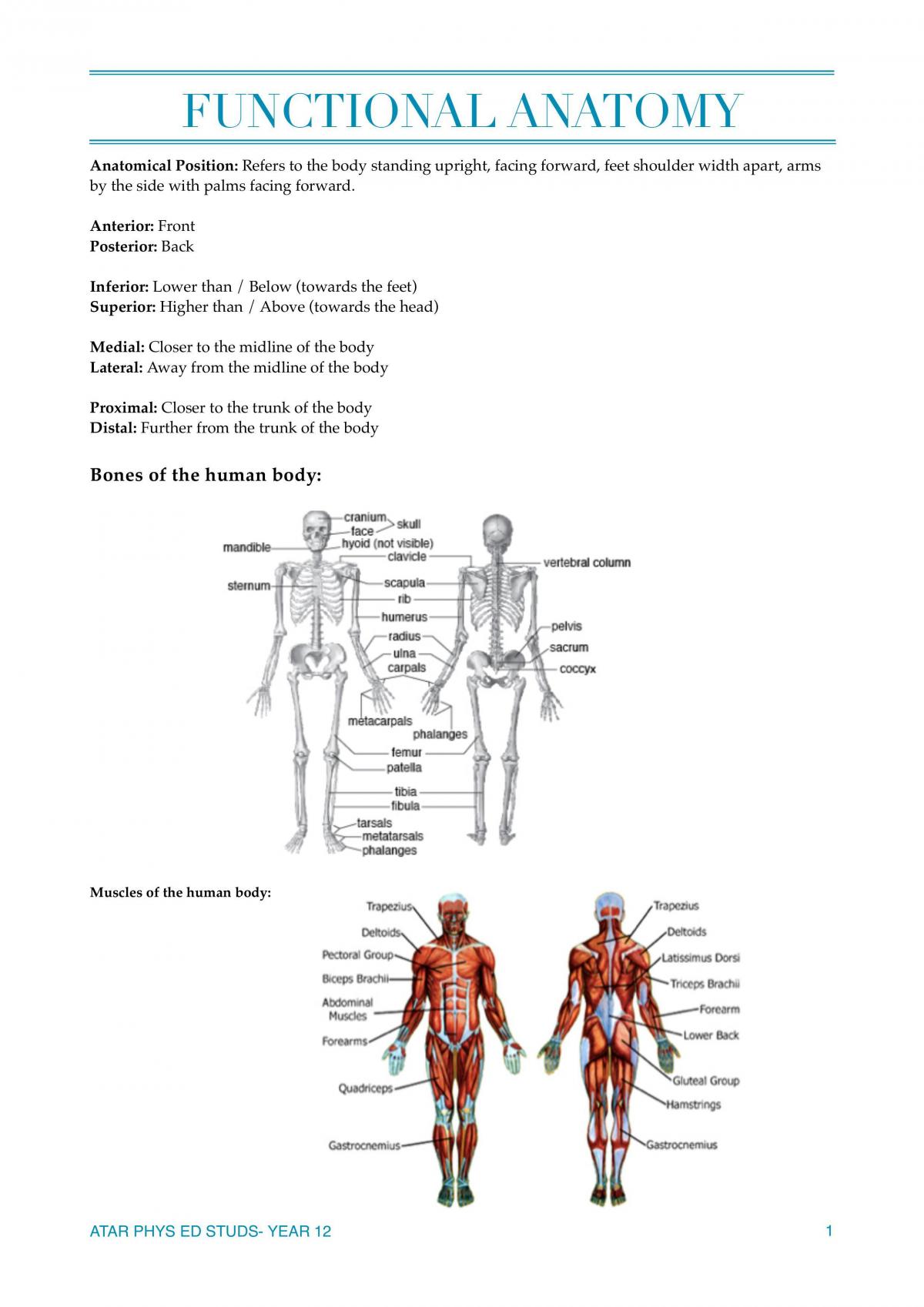 PDHPE Complete Study Notes - Page 1