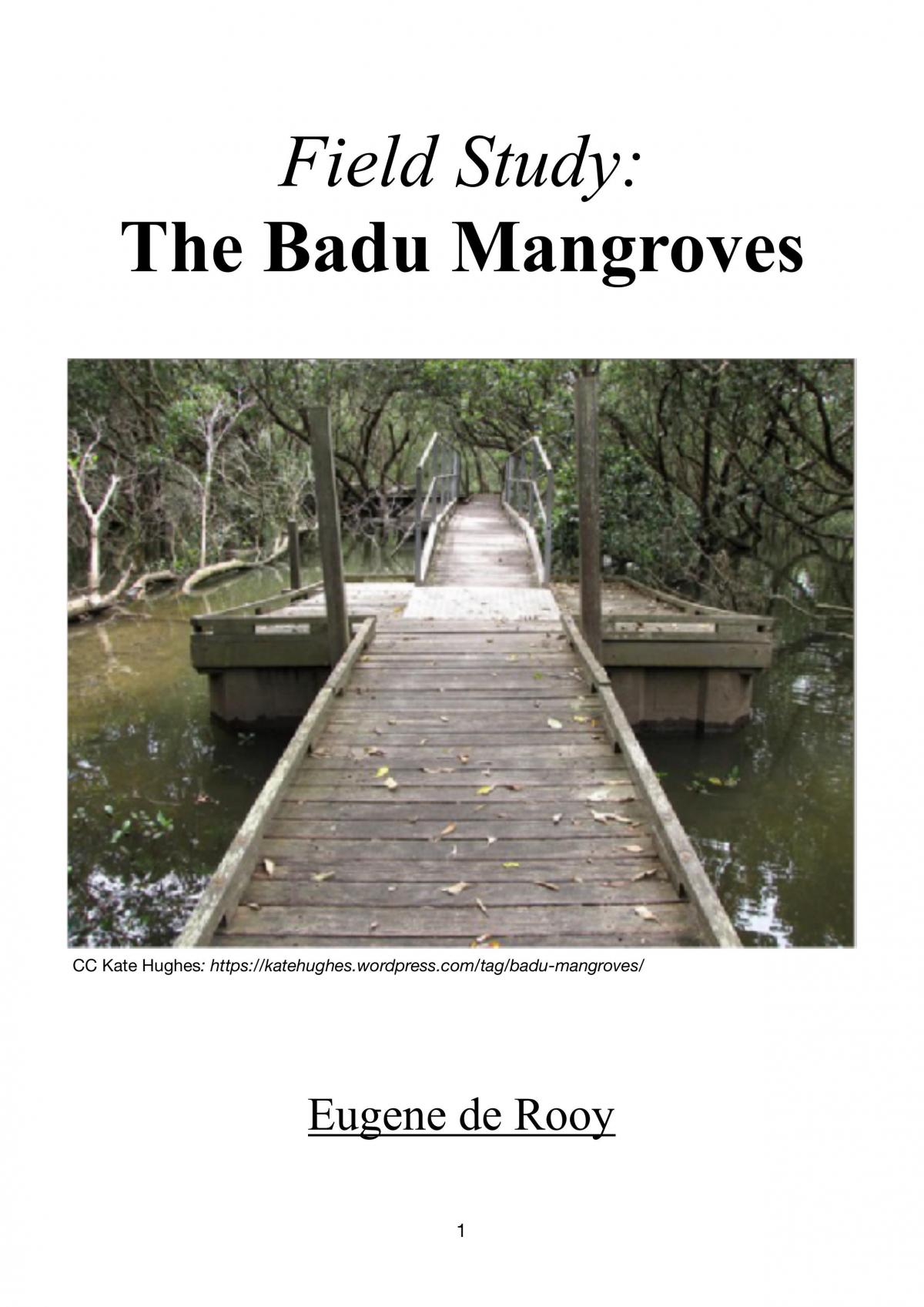Badu Mangrove Ecosystem - Page 1