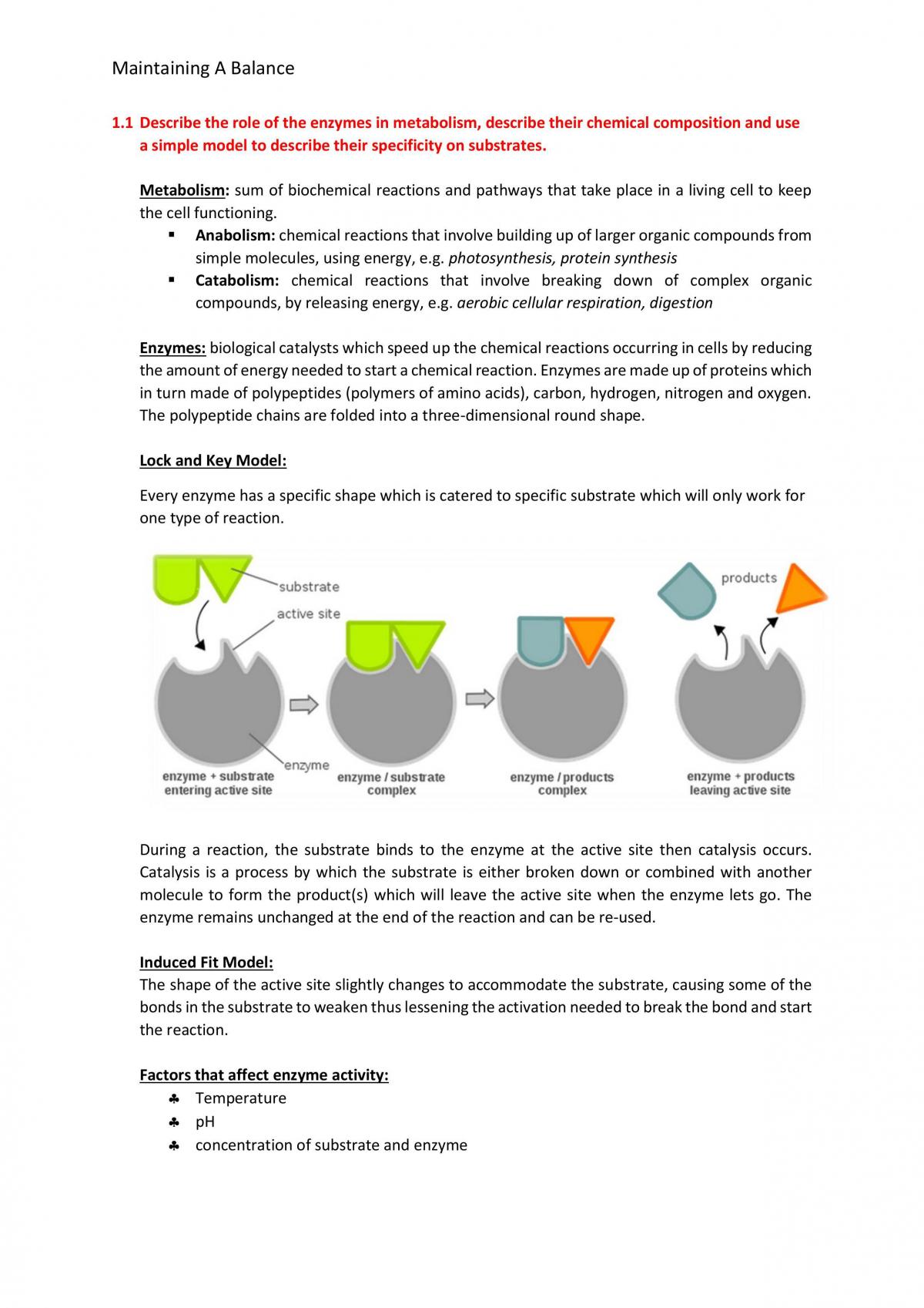 Maintaining A Balance (Focus 1-2) Notes - Page 1
