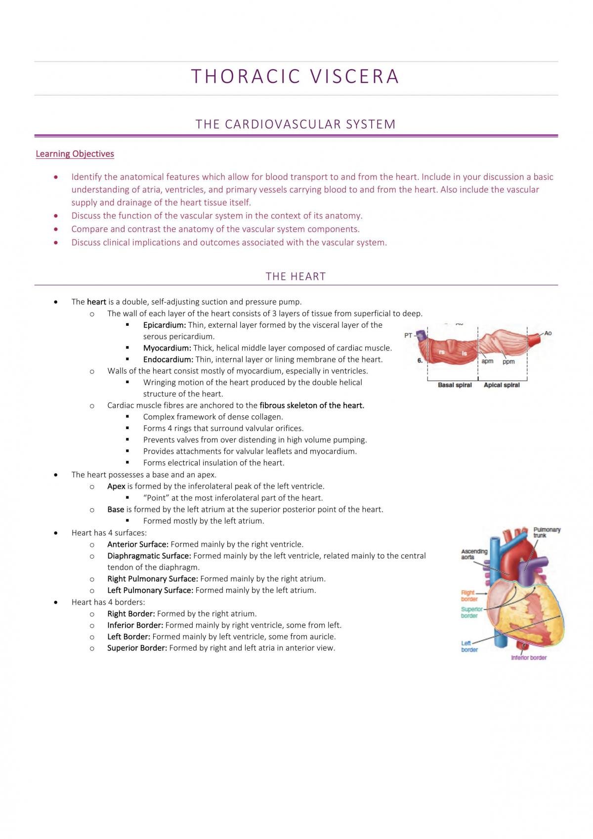 BMS2011 - Thoracic Visceral Anatomy - Page 1