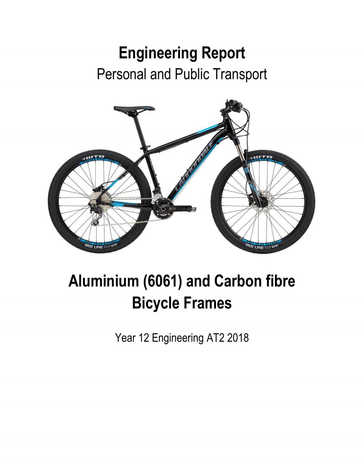 Engineering Report - Personal and Public Transport - Page 1