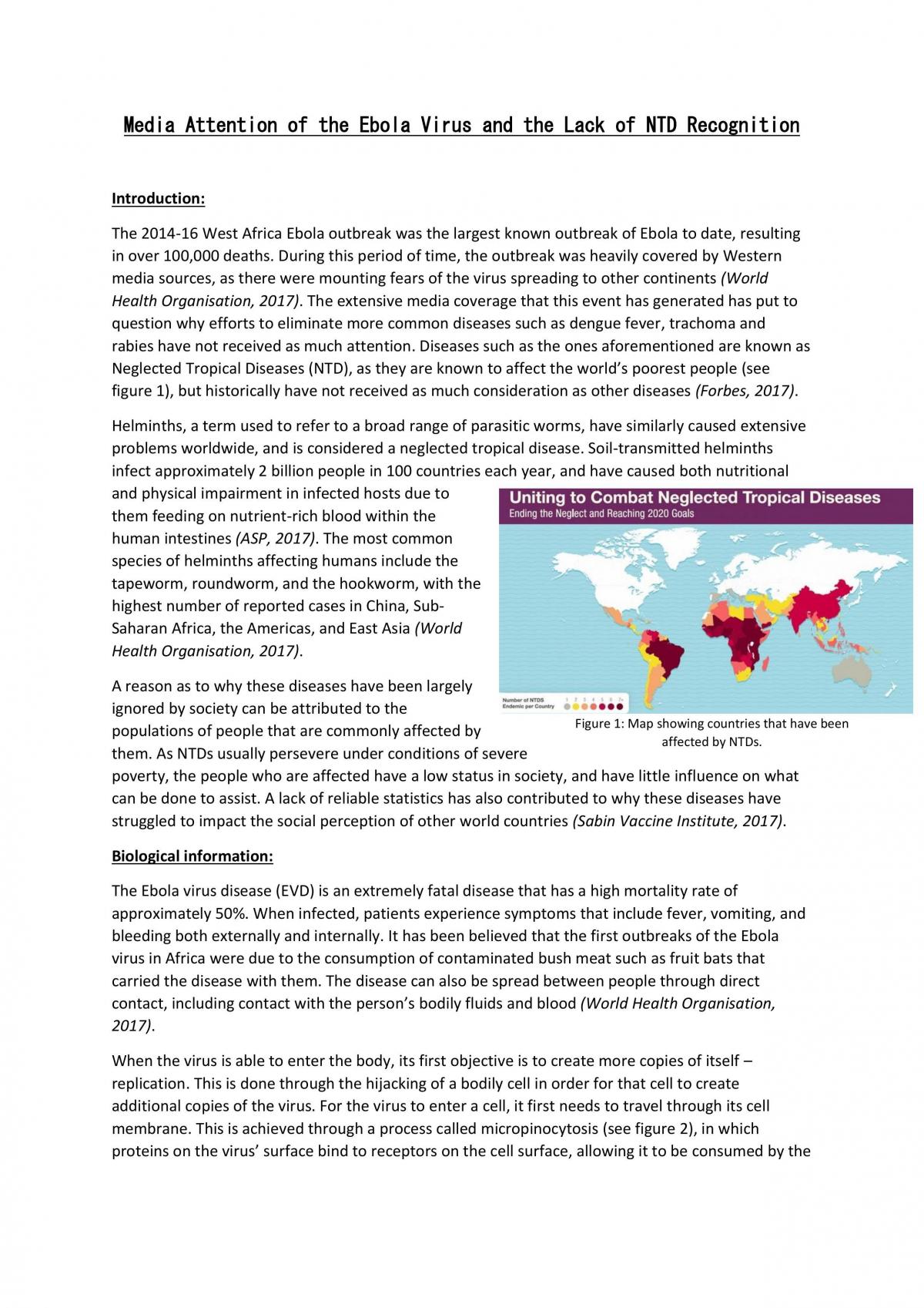 SHE Task - Ebola Virus - Page 2