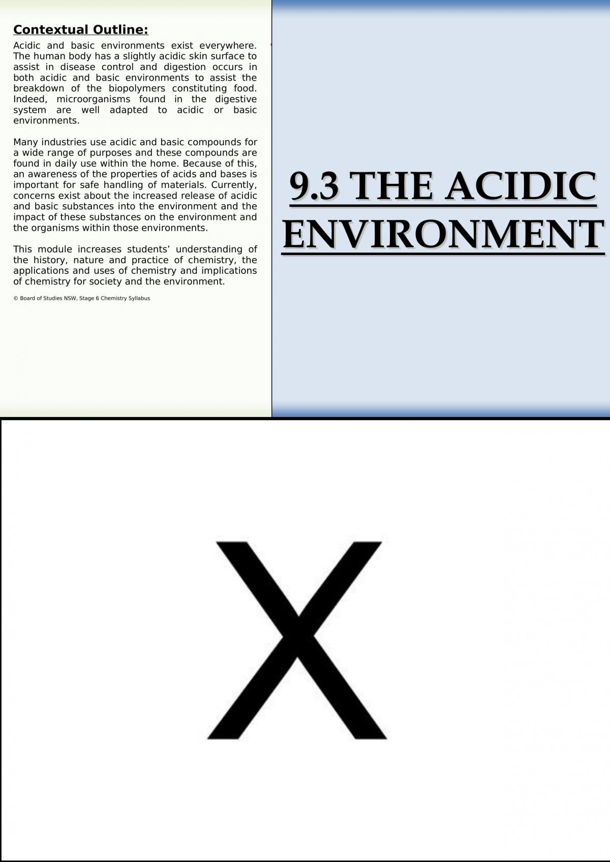 The Acidic Environment Notes - Page 1