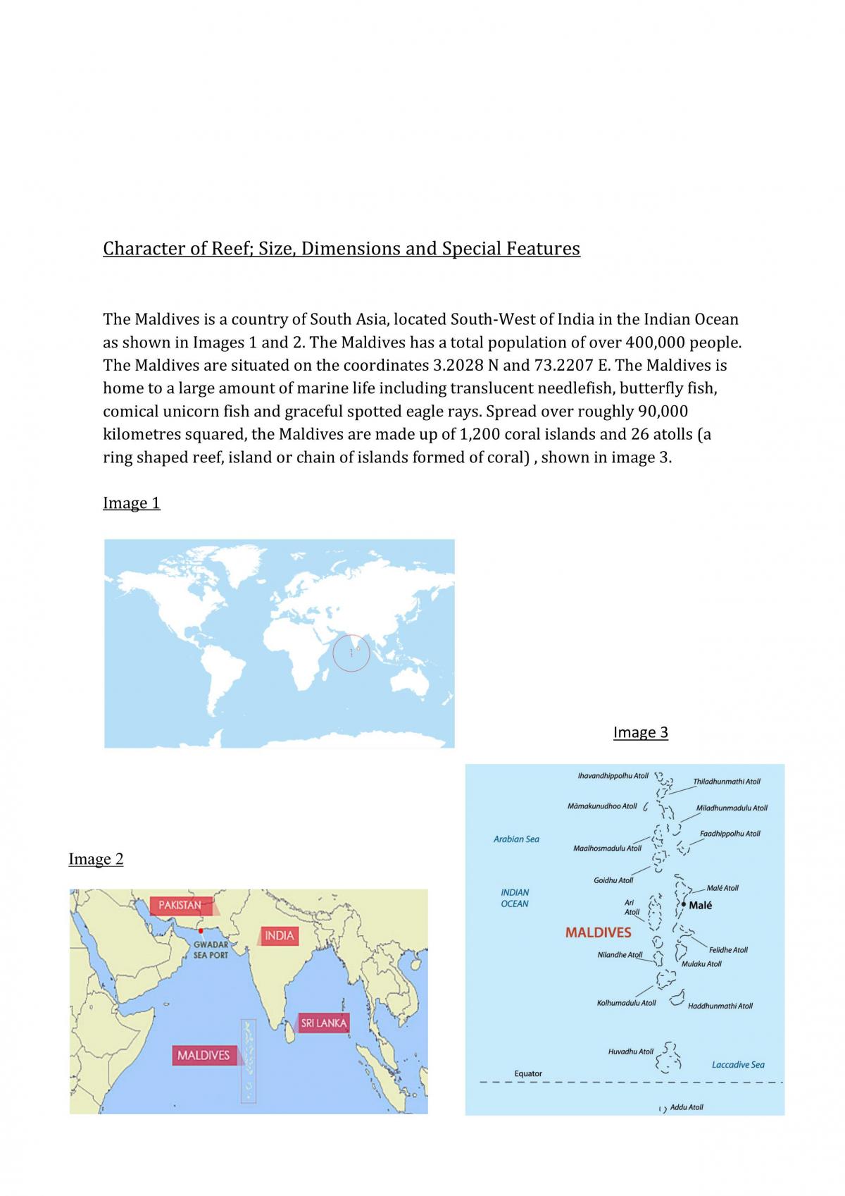 Maldives - Ecosystems at Risk - Page 1