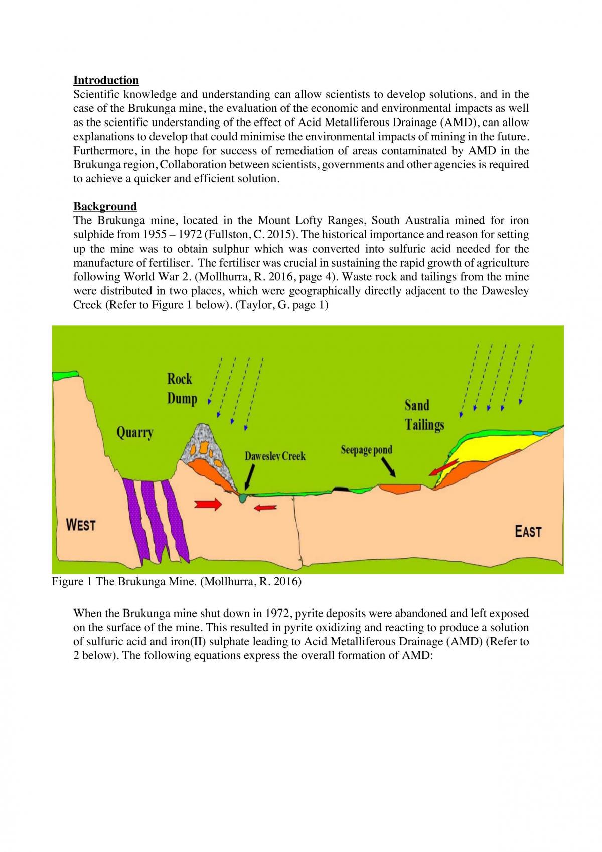 SHE Task: Acids and the Environments  - Page 2