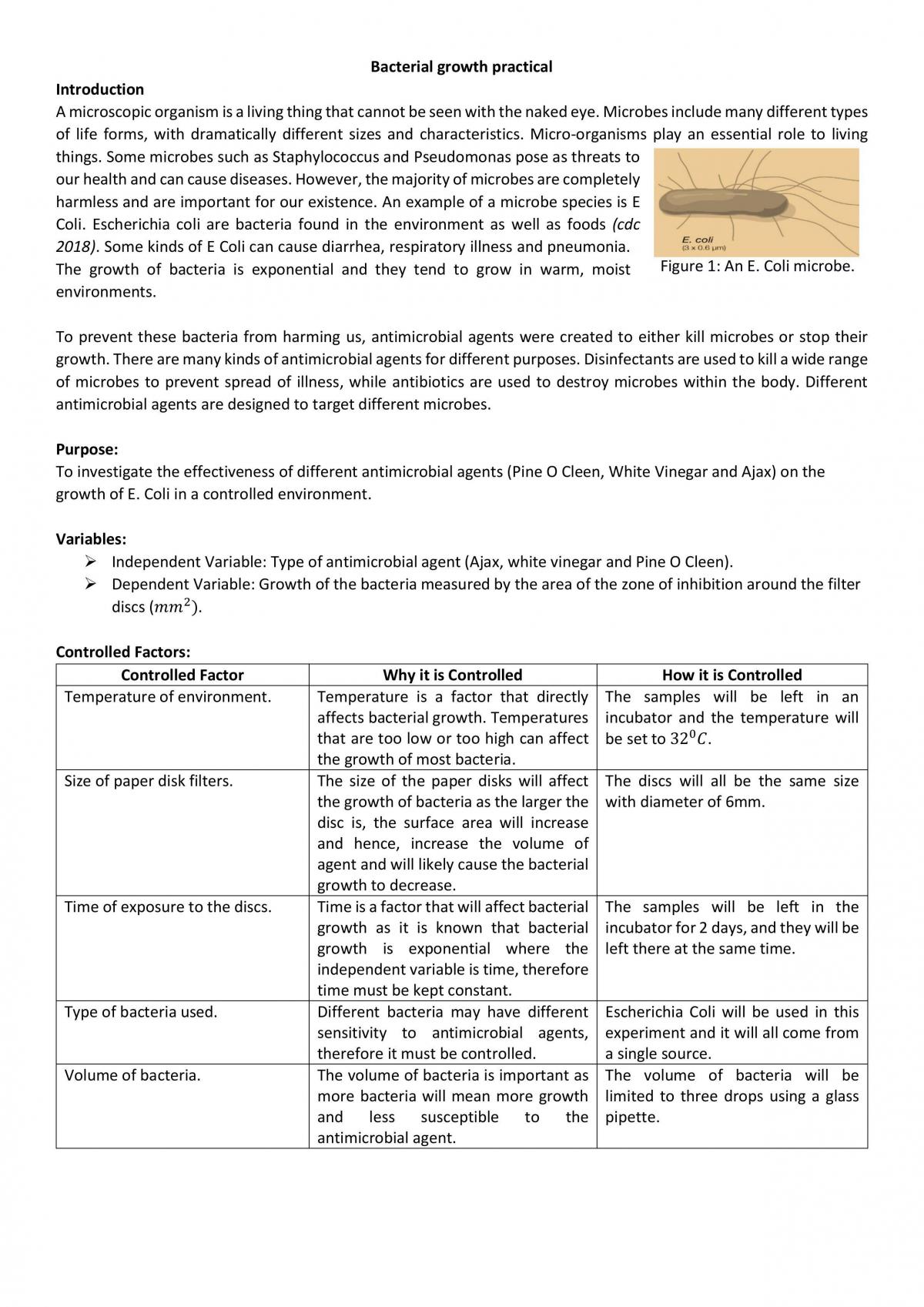 Ecoli Growth - Page 1