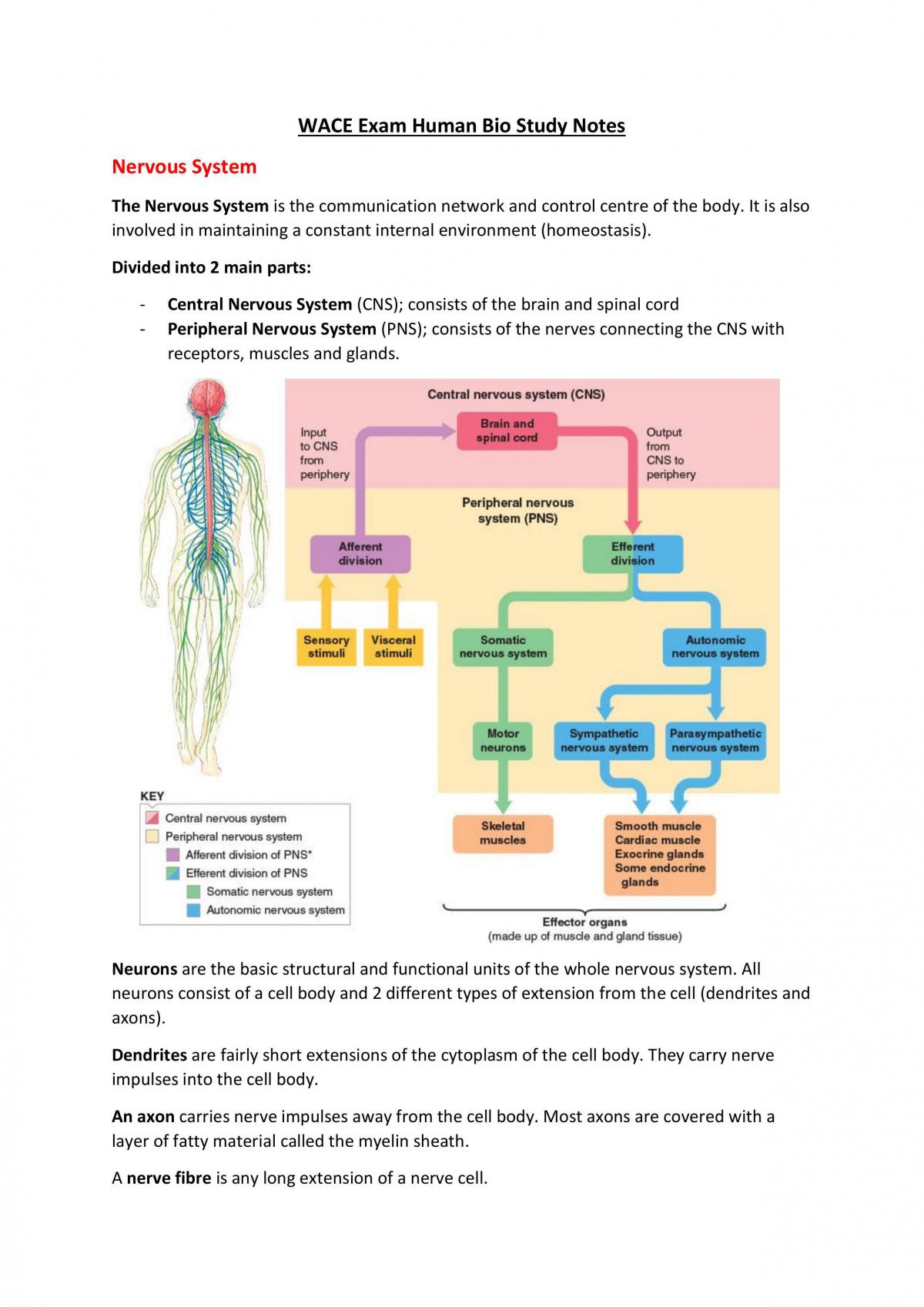 Biology WACE Notes - Page 1