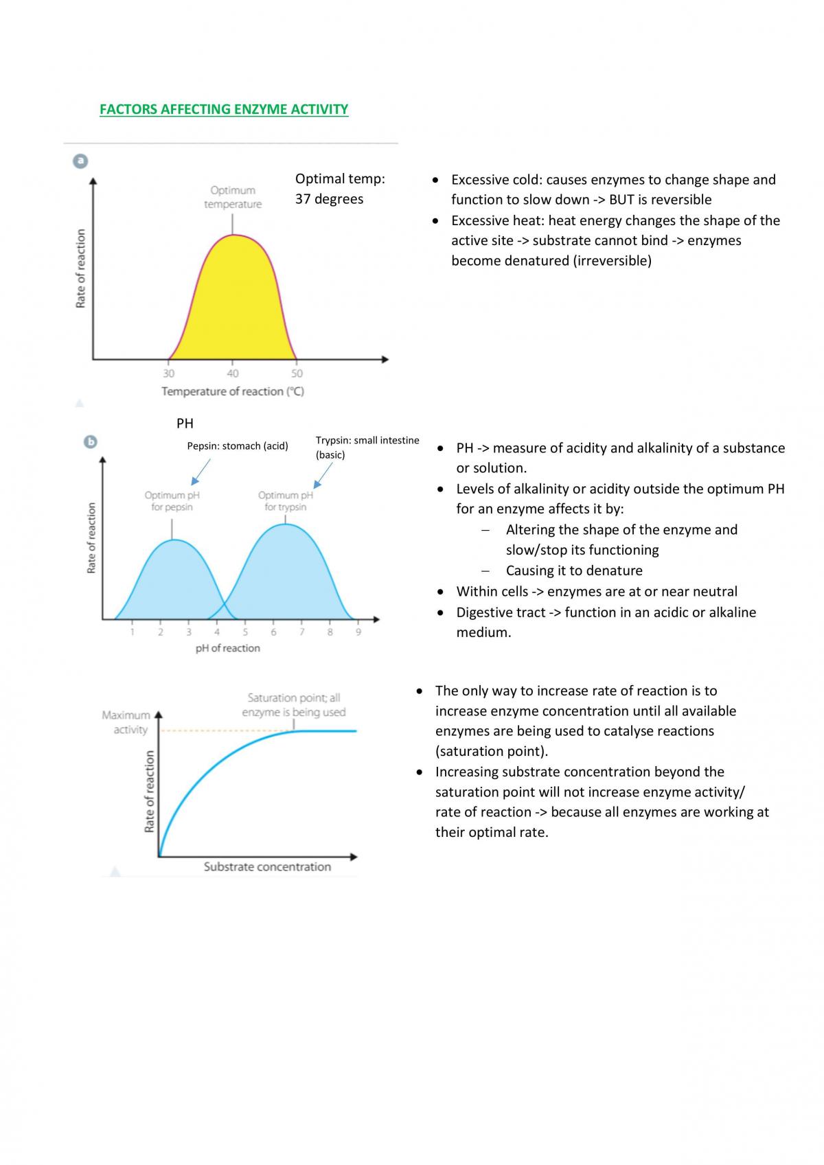 Full Module 1 Notes: Cells as the Basis of Life - Page 29