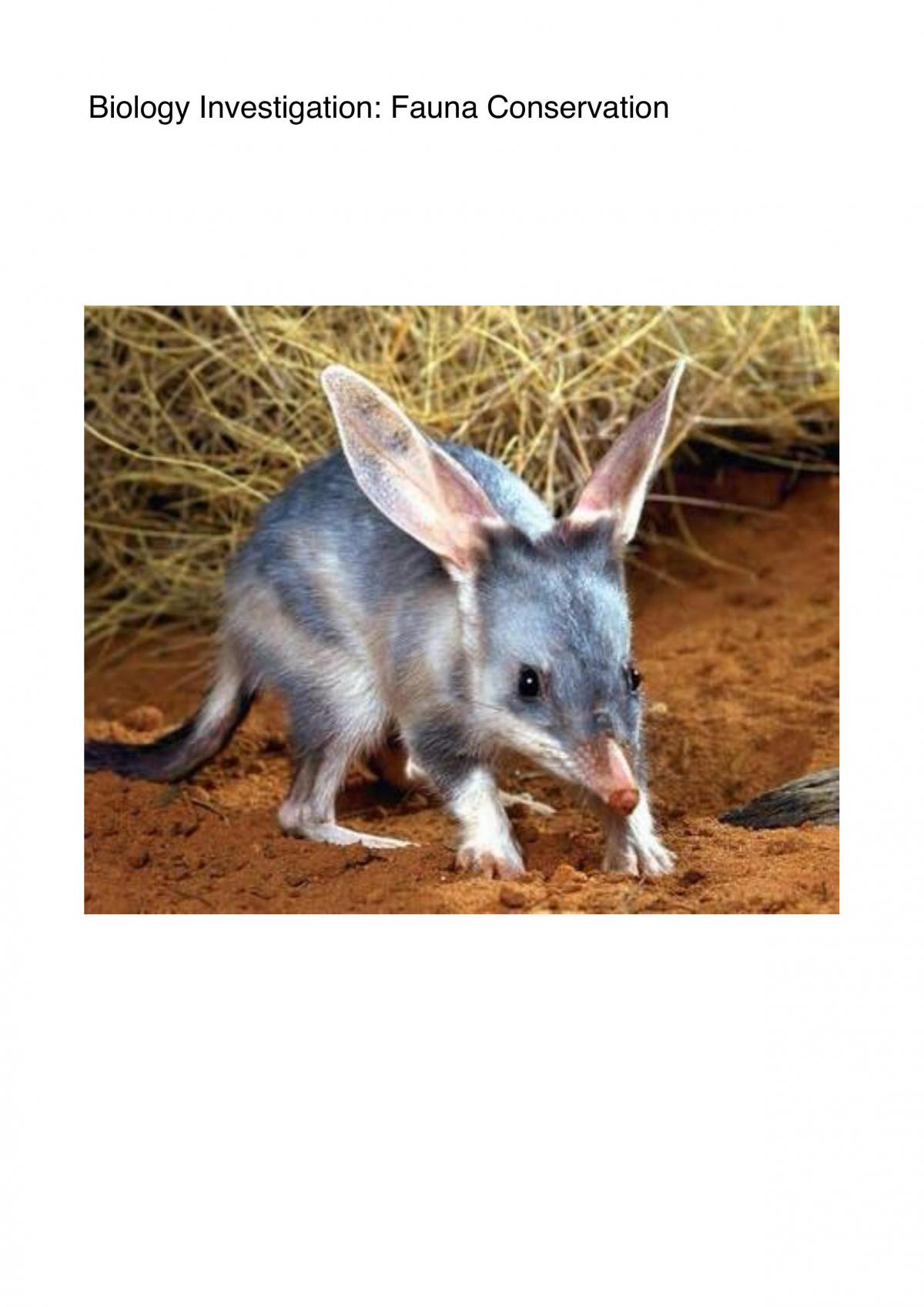 Fauna Conservation of the Bilby - Page 1