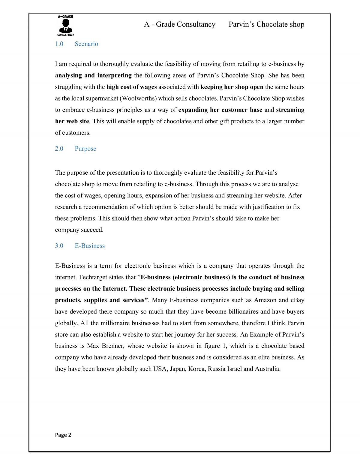 E-Business Assignment - Page 3