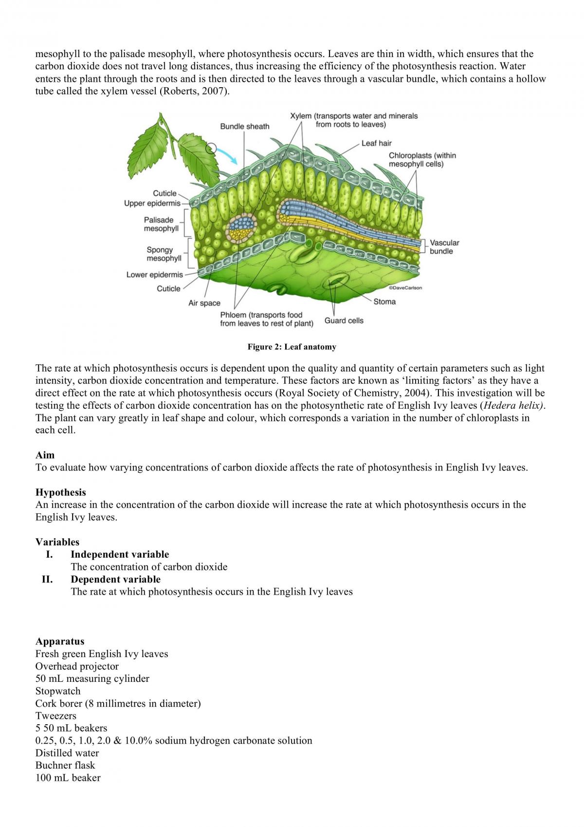Effect of CO2 Concentration on Photosynthesis - Page 2
