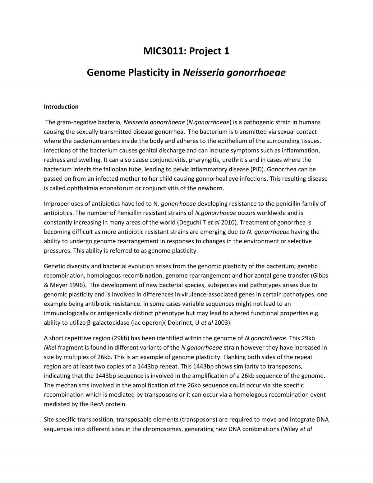 MIC3011 Project 1. Genome Plasticity in Neisseria gonorrhoeae - Page 1
