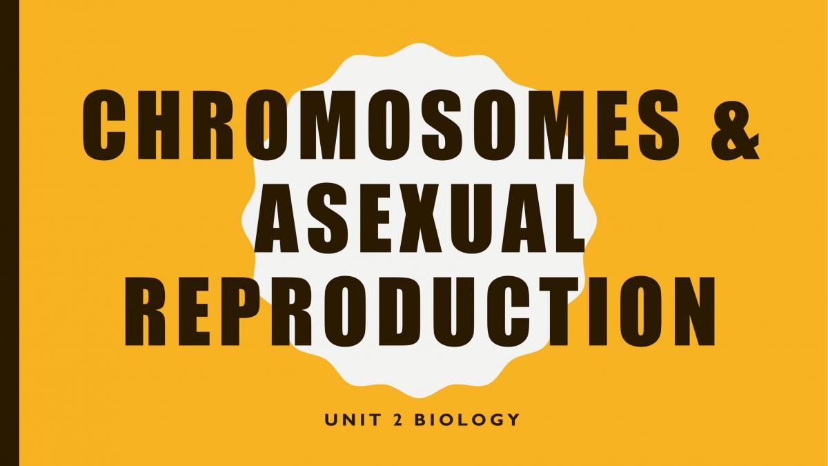 Chromosomes and Asexual Reproduction Unit 2 - Page 1