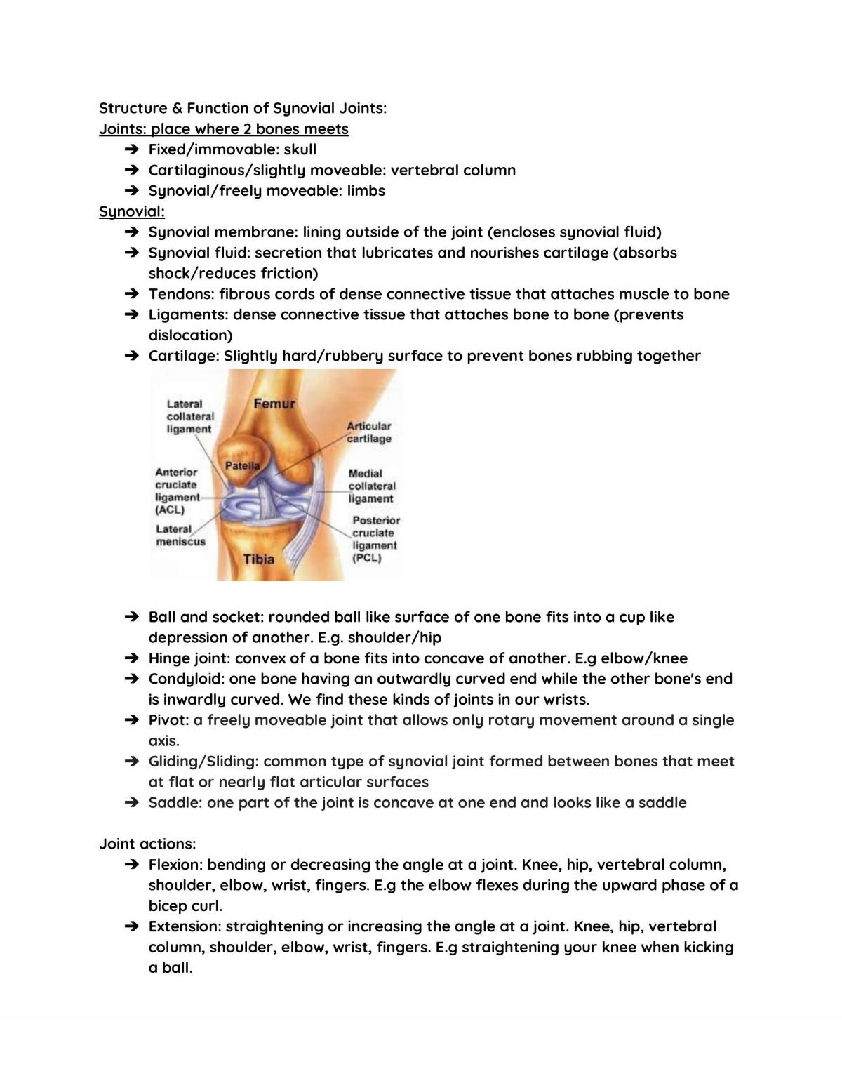 PDHPE Study Notes - The Body In Motion - Page 2