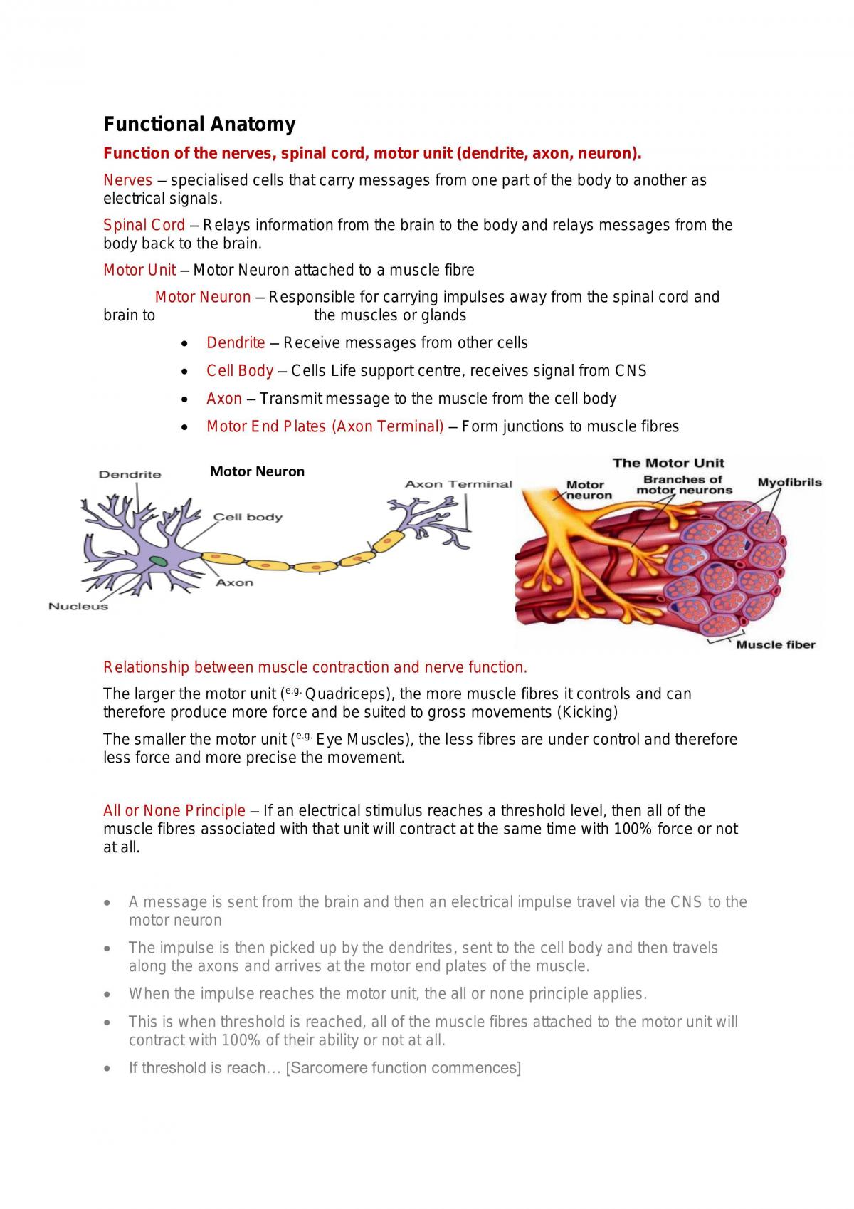 Complete Year 12 PE Studies notes - Page 1