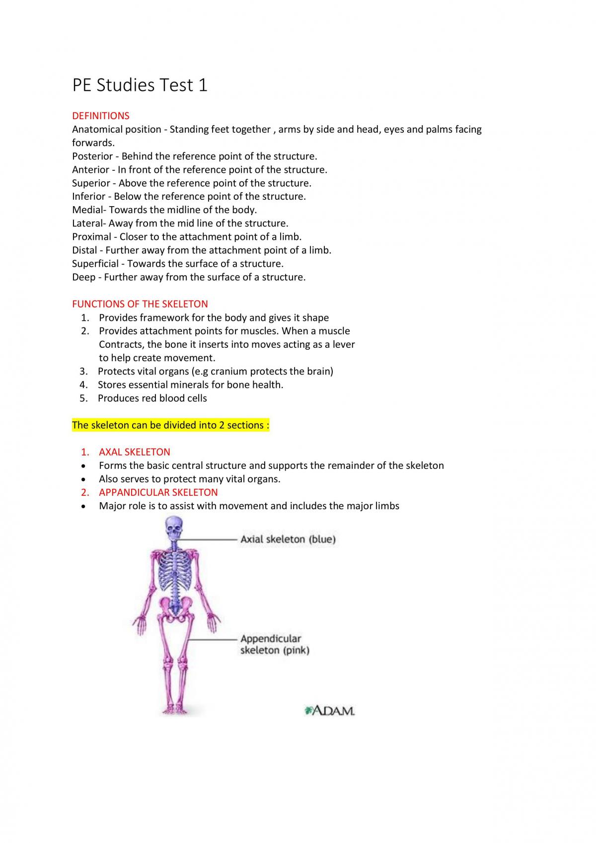 Physical Education Studies Notes - Page 1