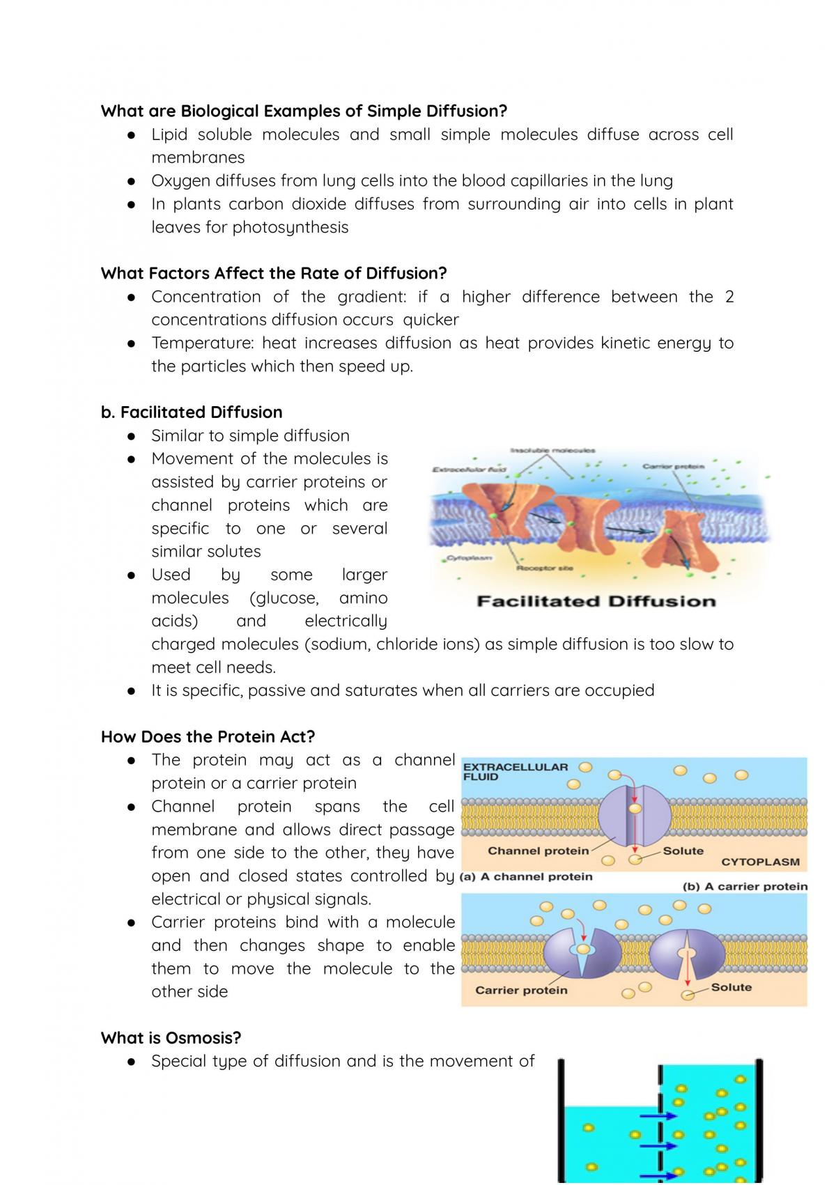 2nd Half of Module 1 Notes -Year 11 Biology - Page 5