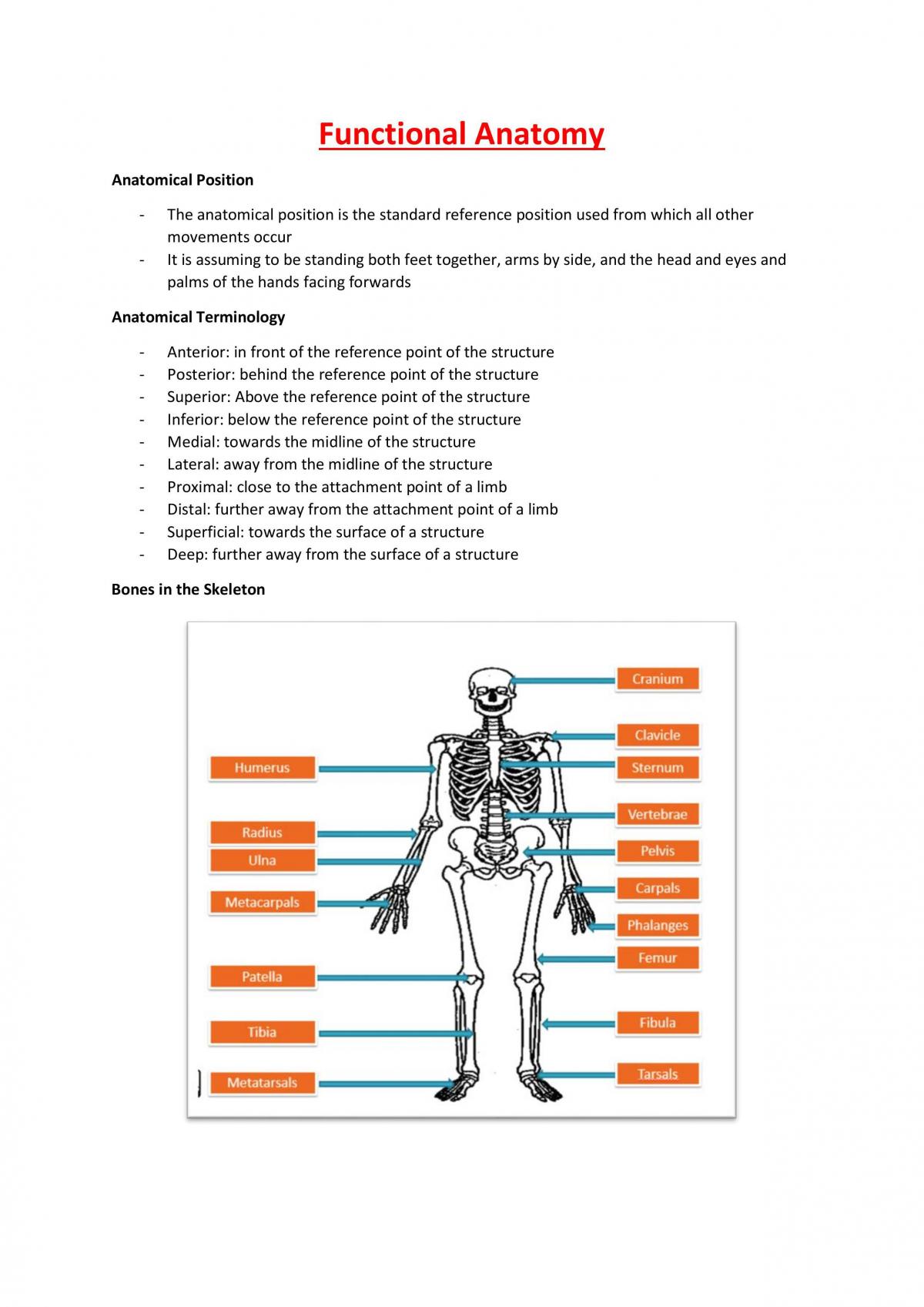 Physical Education Studies Year 11 - Page 1