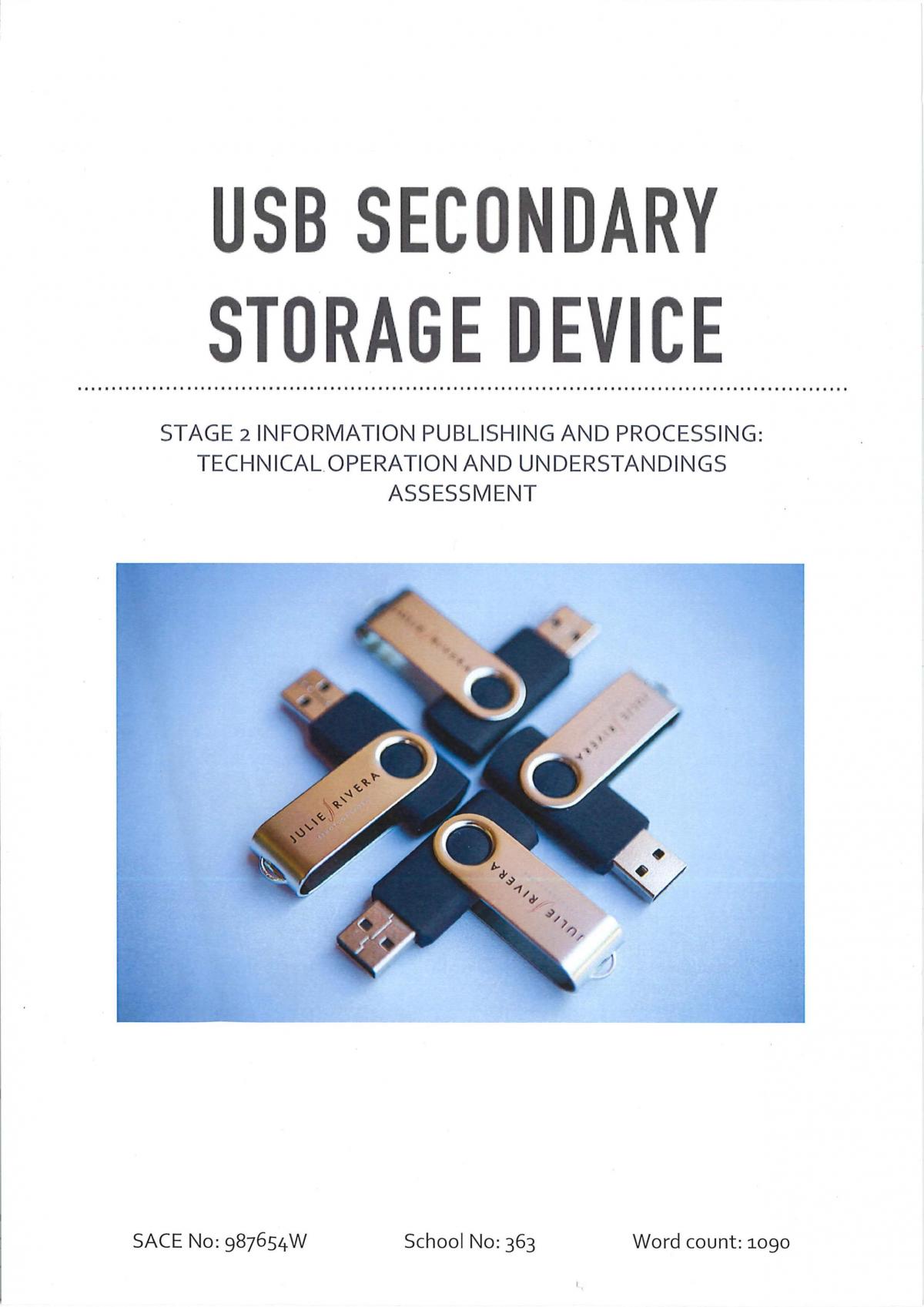USB Secondary Storage Device - Page 1