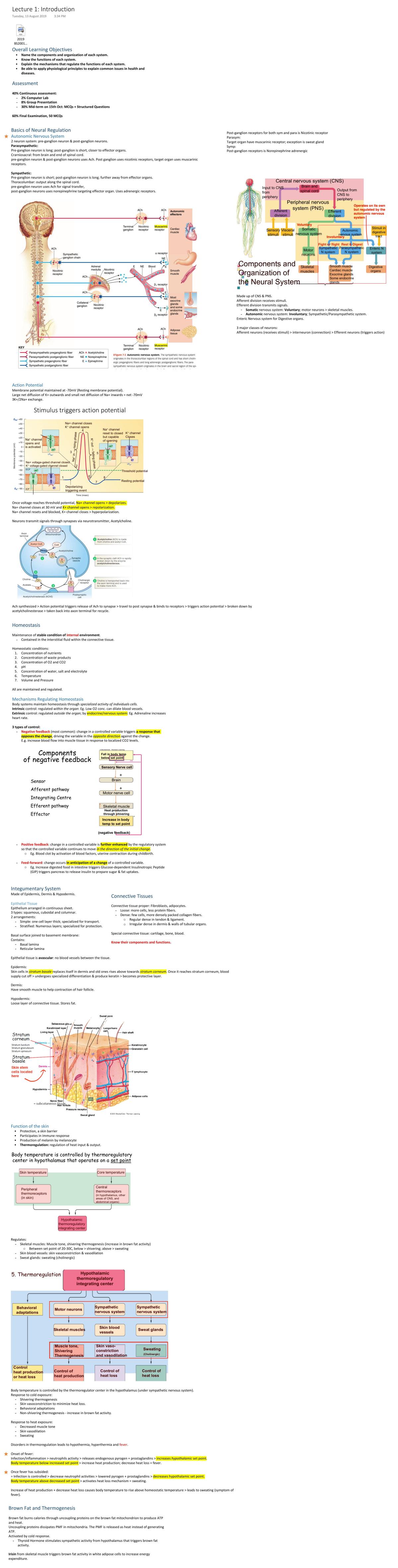BS2001 Physiology Curated Notes - Page 1