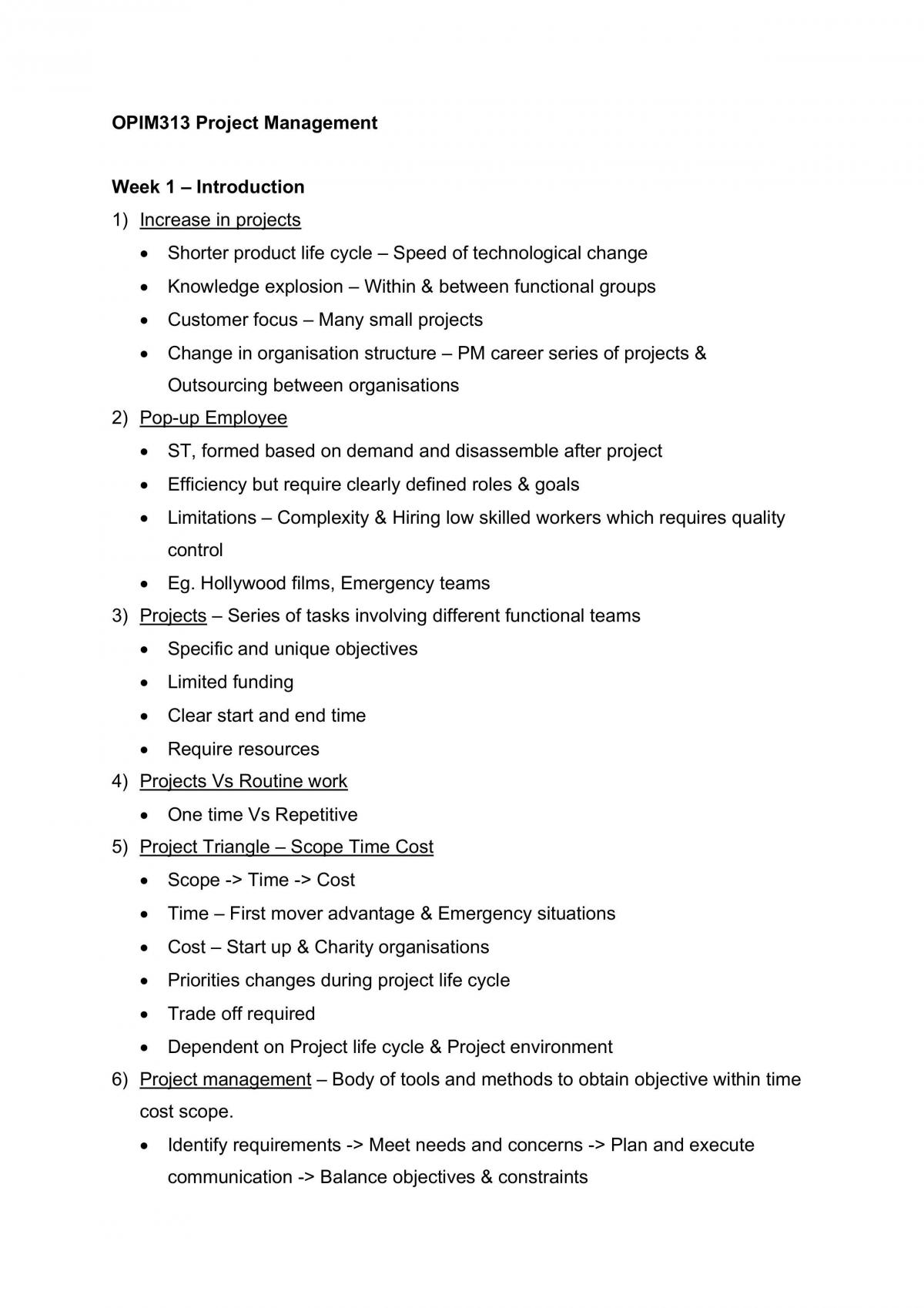 OPIM313 Project Management - Page 1