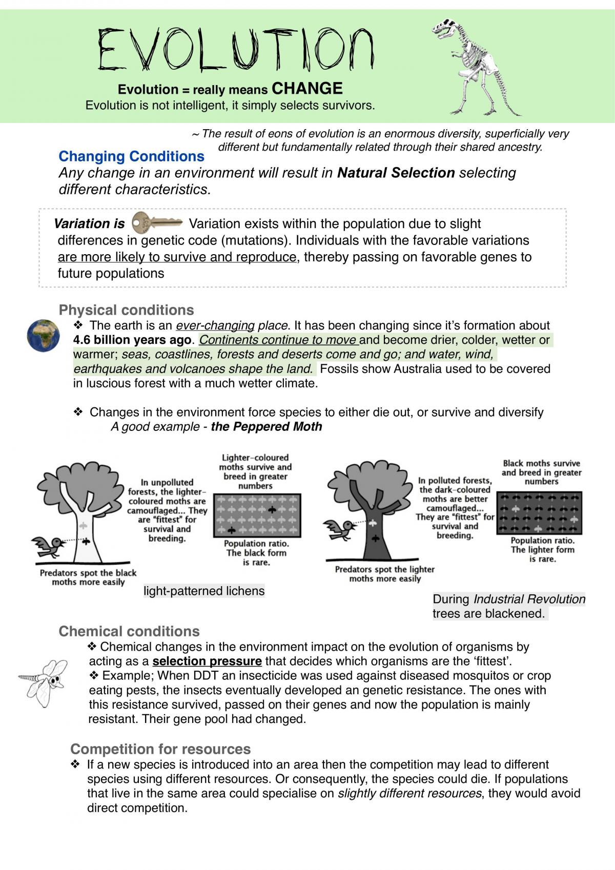Blueprint of Life Study Notes - Page 1