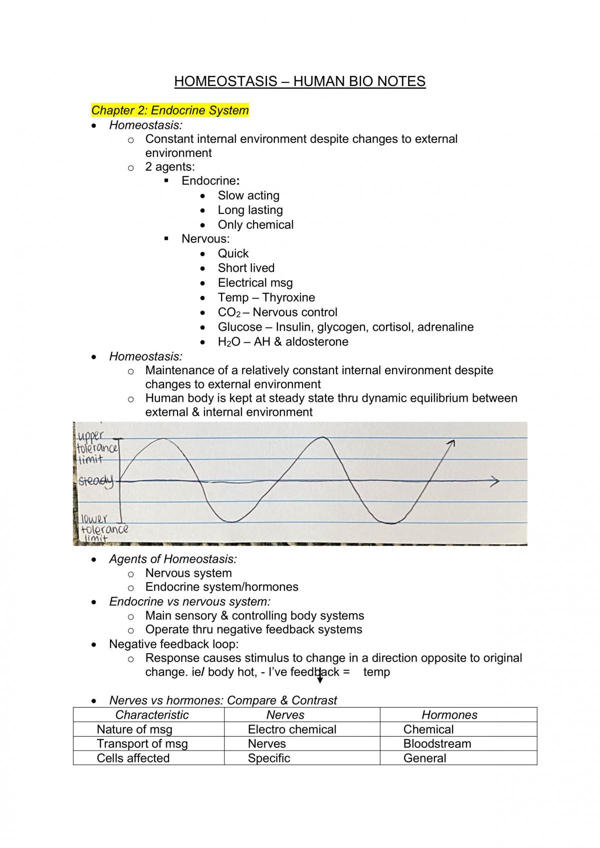 Homeostasis Notes - Page 1