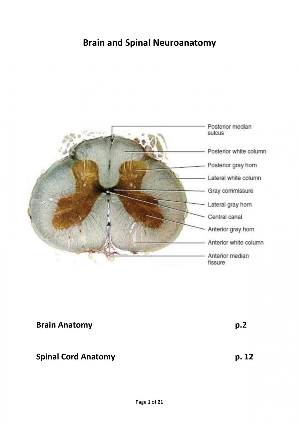 Neurology - Page 1