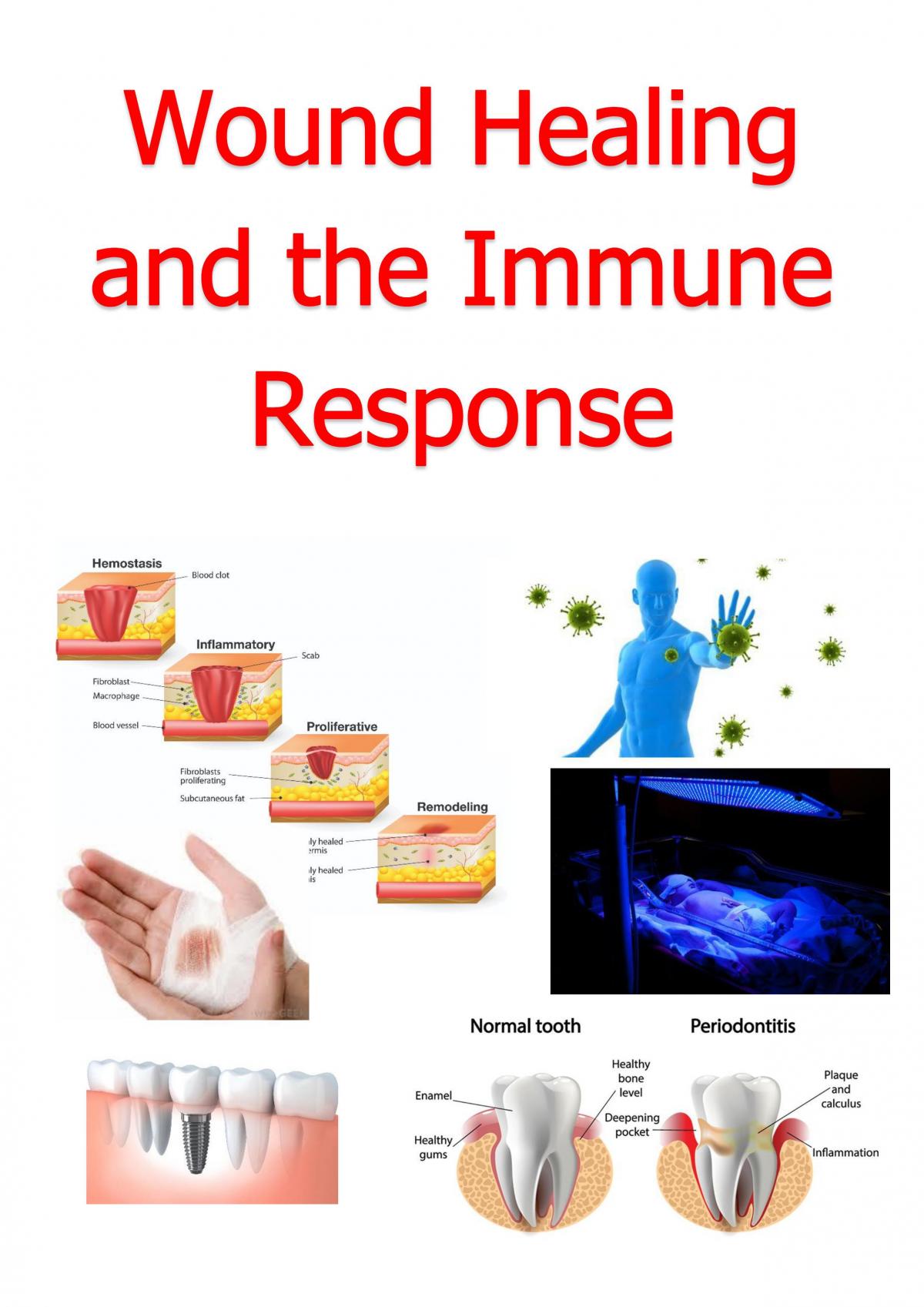 Wound Healing and the Immune Response Notes - Page 1