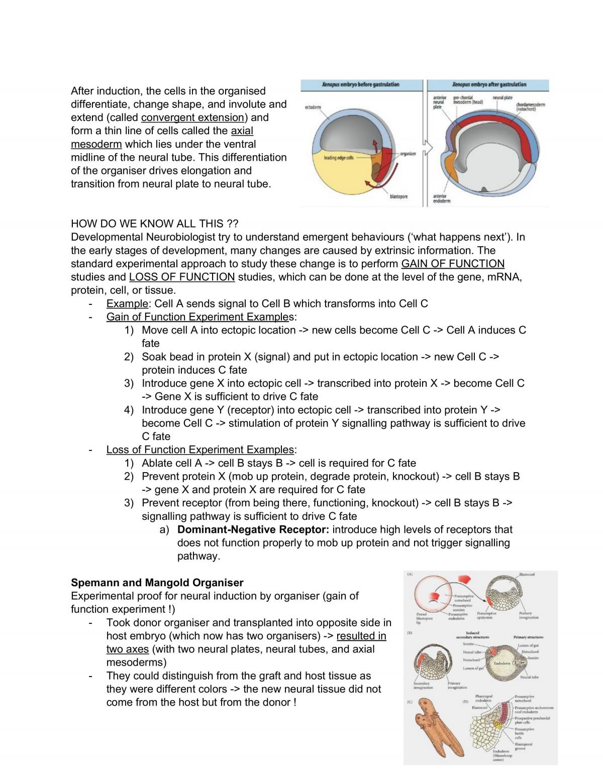 Developmental Neurobiology Notes - Page 5
