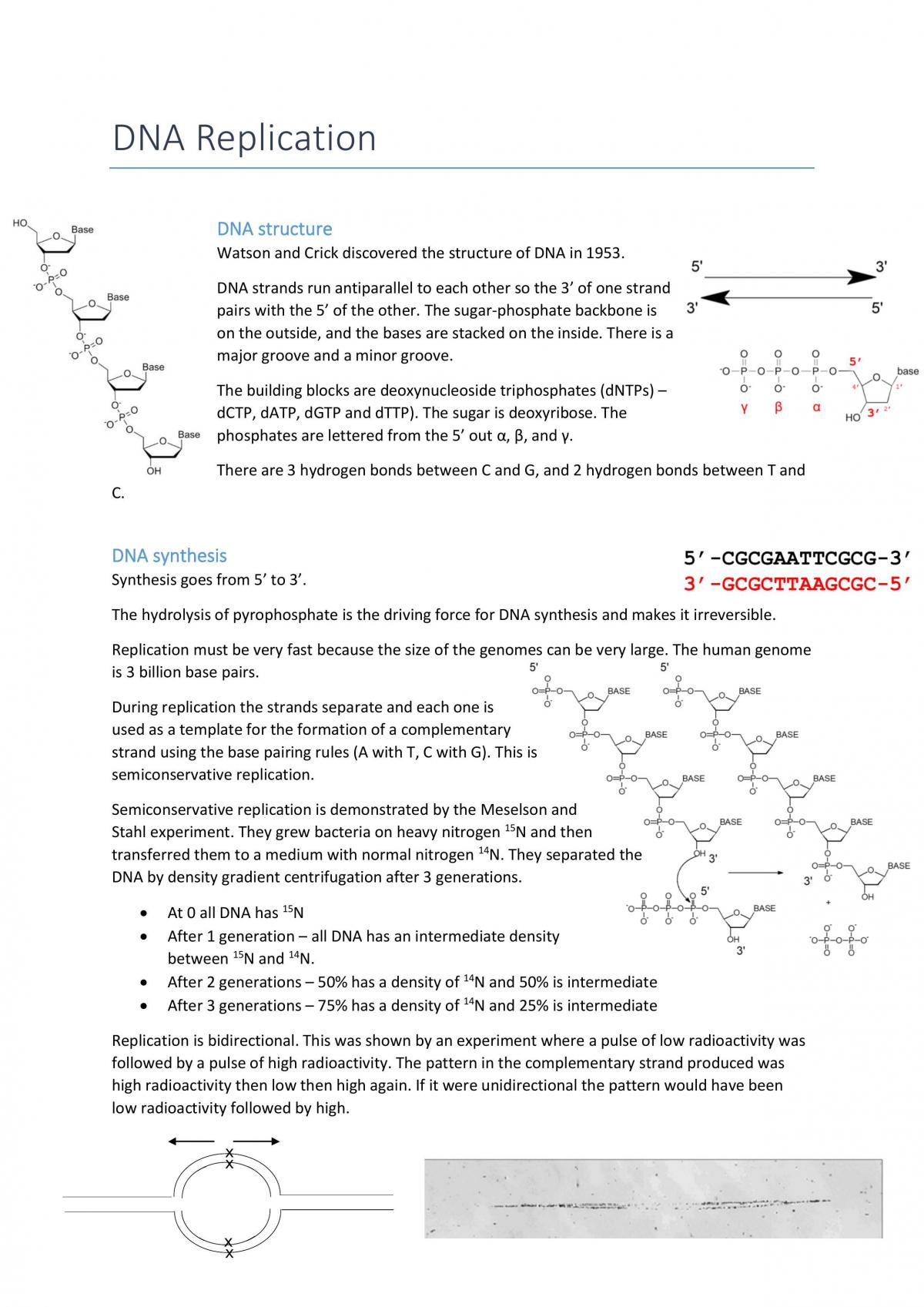 low of Genetic Information full study notes - Page 1