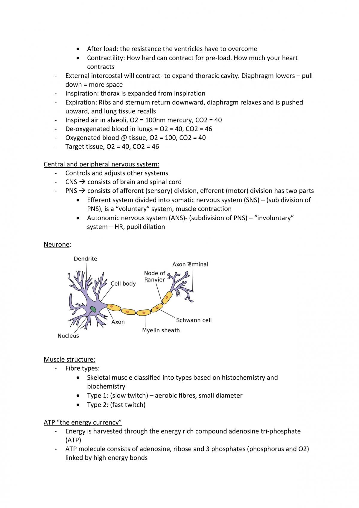 Fundamentals of exercise science notes  - Page 4