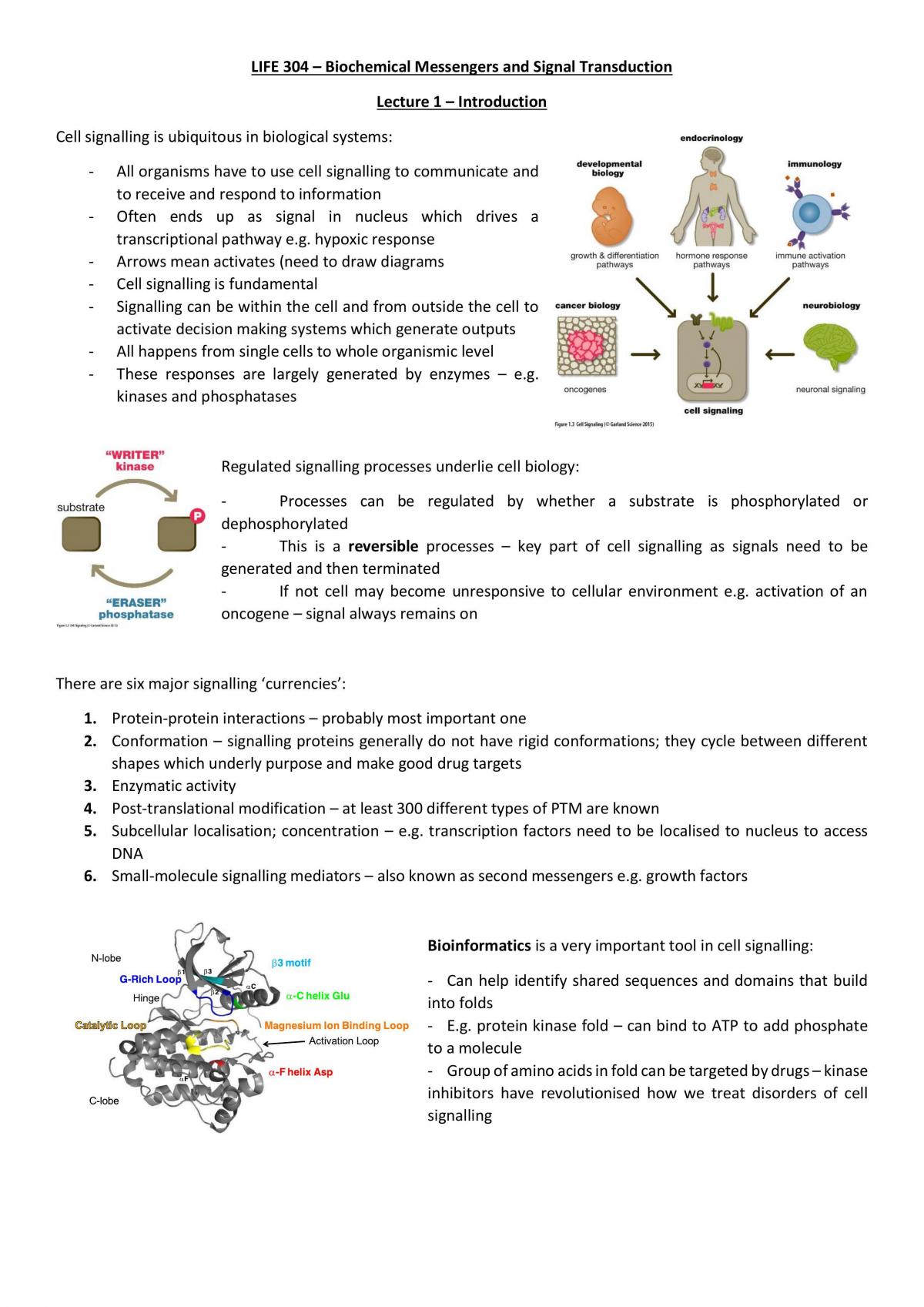 Notes for Biochemical Messengers and Signal Transduction - Page 1