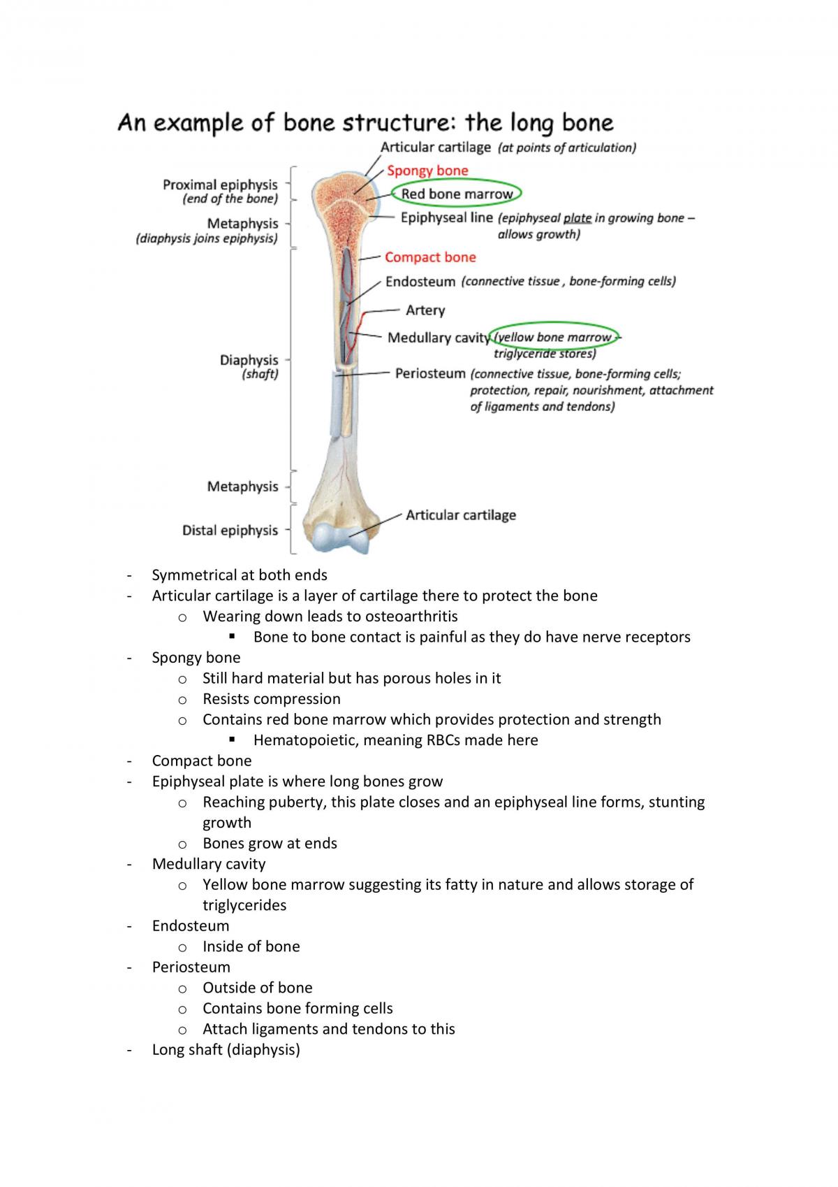 Exercise Physiology & Pharmacology Full Notes - Page 30